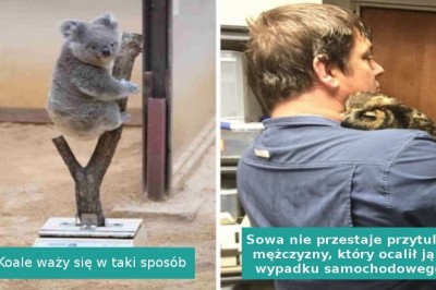 Ta galeria pozytywnych zdjęć poprawi humor nawet w ciężki dzień 