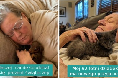 15 zdjęć pokazujących niezwykłą więź między zwierzakami i ludźmi