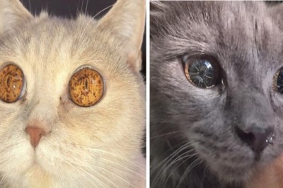 Galeria zdjęć, które wzbudziły w nas podziw wobec Matki Natury