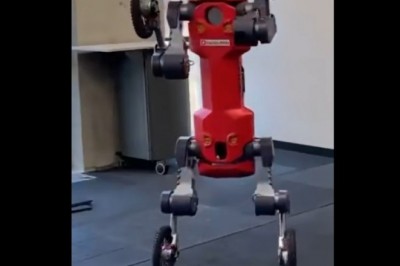 Codzienna porcja ciekawych i zabawnych filmików #447