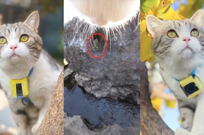 Codzienna porcja ciekawych i zabawnych filmików #462