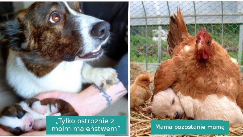 17 dowodów na to, że miłość występuje w każdym rozmiarze i kształcie