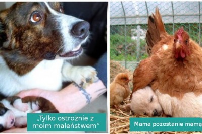 17 dowodów na to, że miłość występuje w każdym rozmiarze i kształcie 