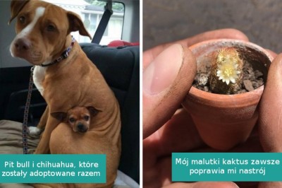 17 zdjęć, które dostarczają całe mnóstwo powodów do uśmiechu