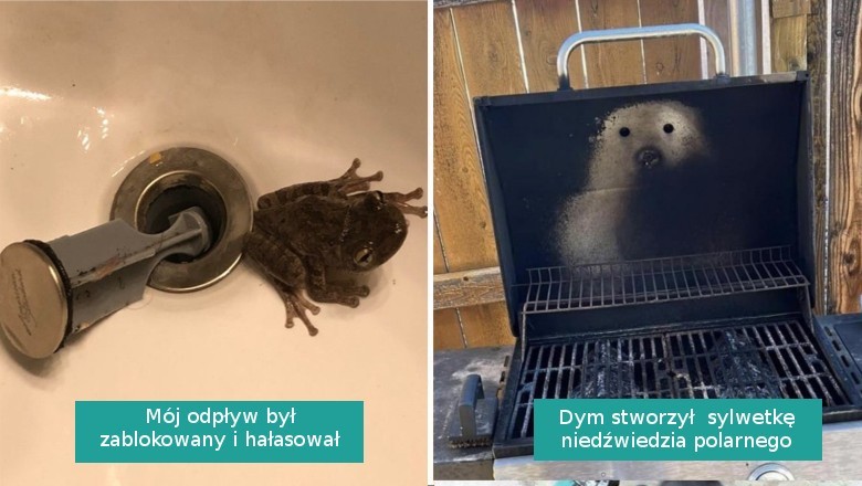 15 przykładów na to, że pewni ludzie zawsze są zaskakiwani przez życie i się nie nudzą