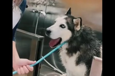 Kiedy widzisz coś na promocji, ale dziewczyna mówi Ci, żebyś tego nie brał