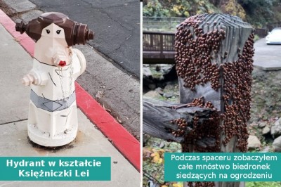 16 osób, które napotkały na swojej drodze coś naprawdę nietypowego i zaskakującego 