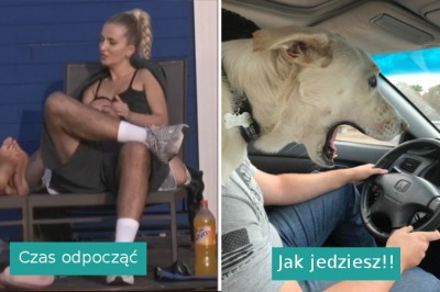 16 zdjęć, które pokazują znaczenie idealnego wyczucia czasu