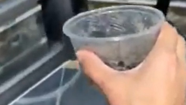Nagranie, które nie wszyscy są w stanie obejrzeć bez nerwów