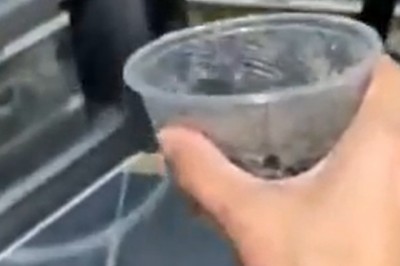 Nagranie, które nie wszyscy są w stanie obejrzeć bez nerwów 