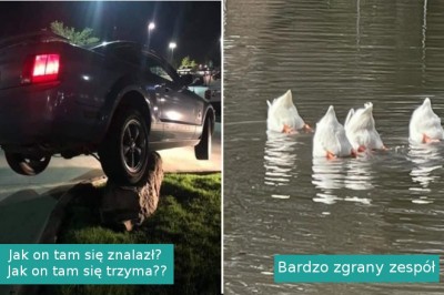 15 zdjęć pokazujących, życie zaskakuje nas wtedy gdy najmniej się spodziewamy