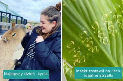 15 sytuacji, w których natura postanowiła obdarować nas czymś wyjątkowym