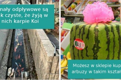 18 niecodziennych faktów na temat Japonii pokazujących jaki to niezwykły kraj