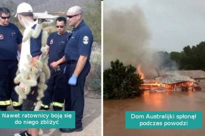 16 osób, które „miały szczęście” i uwieczniły swoje porażki na zdjęciach