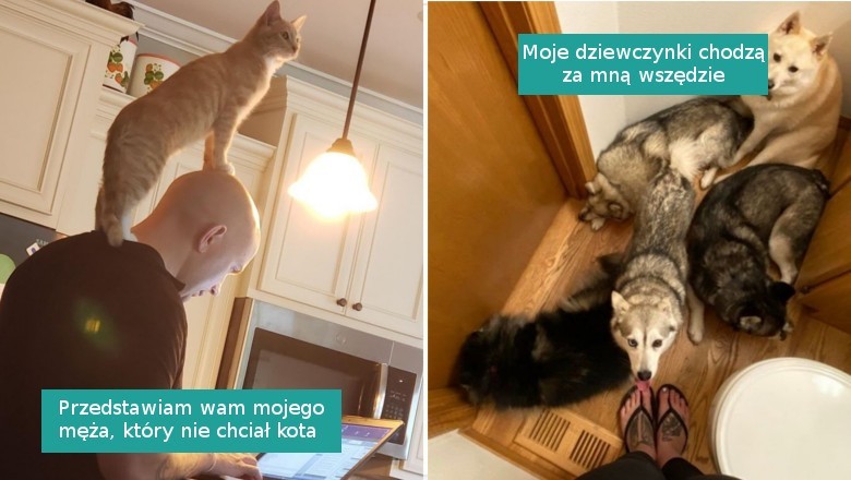 Galeria zwierzaków, które nie opuszczają swojego człowieka ani na minutę