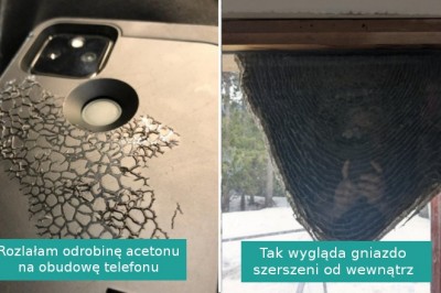 17 zdjęć, które perfekcyjnie odpowiadają na pytanie „Co się stanie, gdy...”