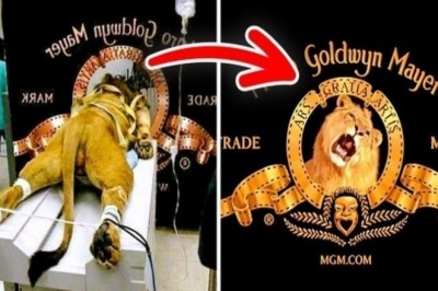 Co znaczą loga znanych marek? Nawet nie przeszło Ci przez myśl jak powstały