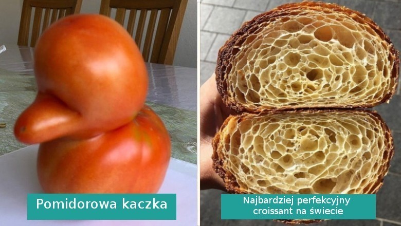 Jedzenie tych osób było na tyle wyjątkowe, że chciały podzielić się nim ze światem