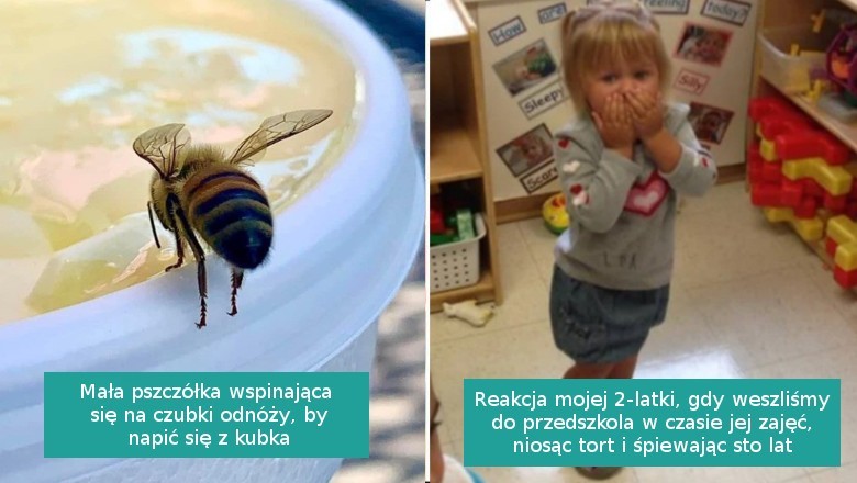 15 uroczych zdjęć, które budzą tylko pozytywne skojarzenia