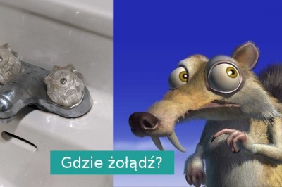 15 zdjęć, które sprawią, że przetrzesz oczy z niedowierzania