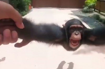 Codzienna porcja ciekawych i zabawnych filmików #527