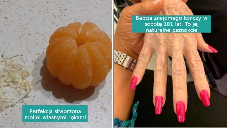 15 satysfakcjonujących zdjęć, na których uchwycono prawdziwą perfekcję