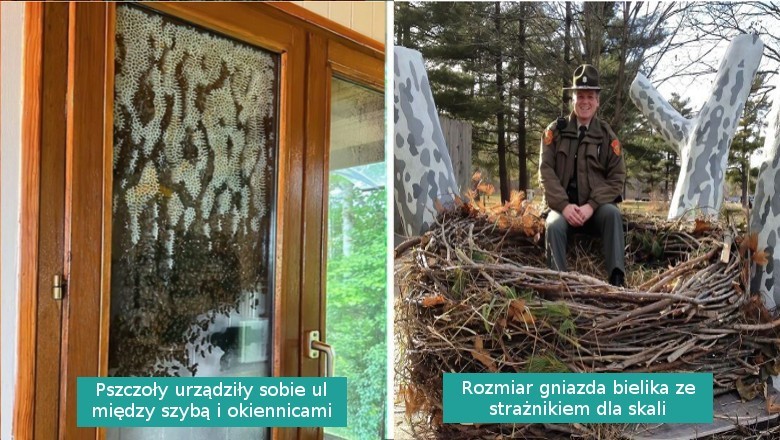 18 zdjęć przedstawiających zdumiewające cuda natury