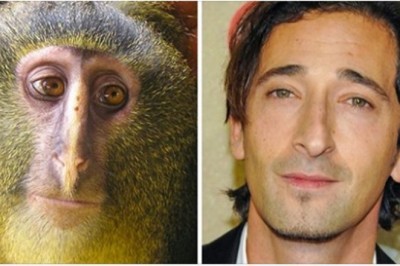 Te zwierzęta wyglądają jak znani aktorzy i celebryci. Niektórzy to chyba rodzeństwo