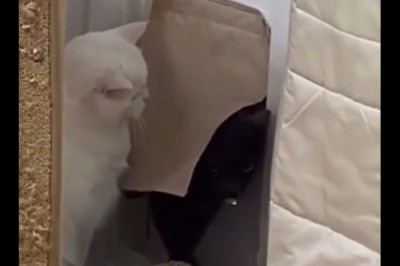 Kiedy chcesz po cichu wejść do chaty po imprezie, ale żona już czeka