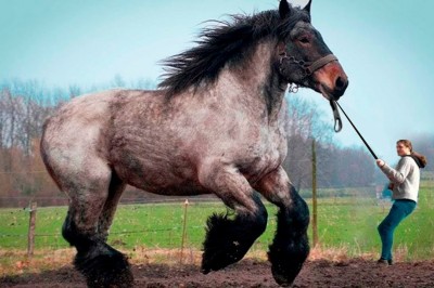 Codzienna porcja ciekawych i zabawnych filmików #542