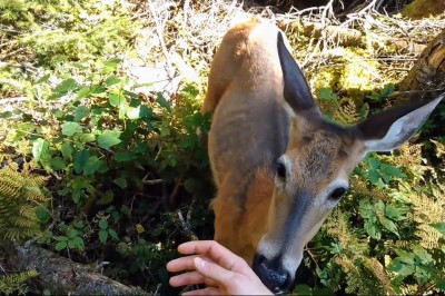 Codzienna porcja ciekawych i zabawnych filmików #551