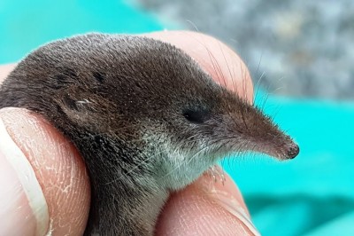 Codzienna porcja ciekawych i zabawnych filmików #552