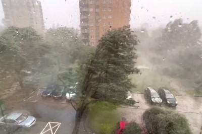 W ostatniej chwili uratował auto przed walącym się drzewem - Kraków