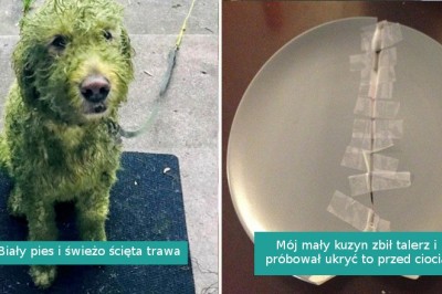 14 zdjęć, które wniosą dodatkowy promyk słońca do twojego dnia