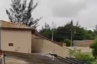 Niby głowa psa, a dziwniejszego filmu nie zobaczysz