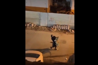 Kiedy słabo widzisz i zamiast zgarnąć z ulicy kota łapiesz lwa