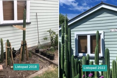 15 dumnych osób, które pochwaliły się swoimi ogrodami i zbiorami 