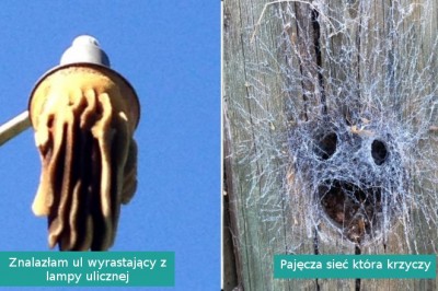 16 momentów, w których natura pokazała swoje zdumiewające oblicze
