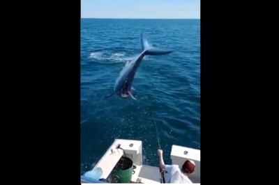 Kiedy jesteś na rybach i nagle wpada niezapowiedziany gość 