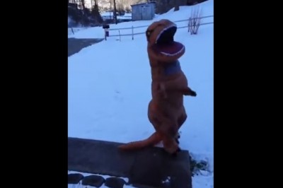 Mocny żart dziewczyny na facecie w przebraniu dinozaura