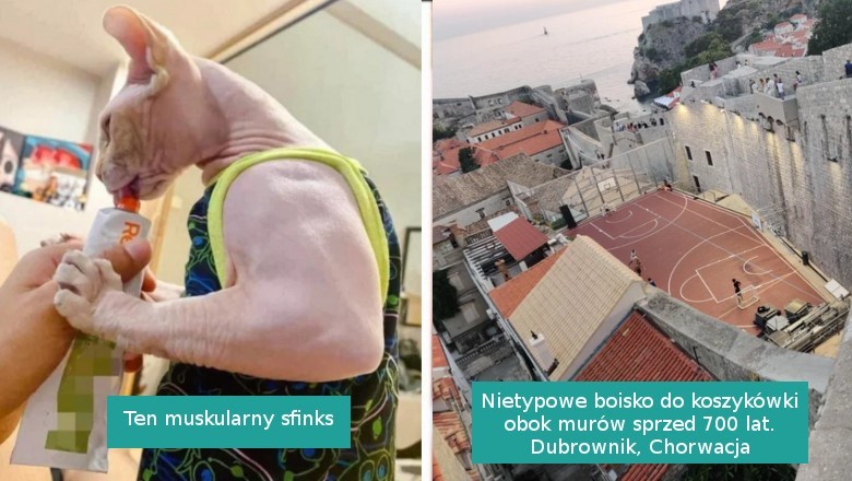 17 osób, które podzieliły się swoimi nietypowymi odkryciami i pomysłami