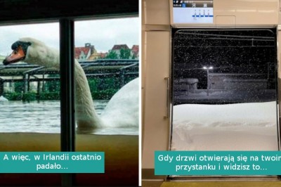 16 zdjęć pokazujących dziką i mniej przewidywalną stronę natury