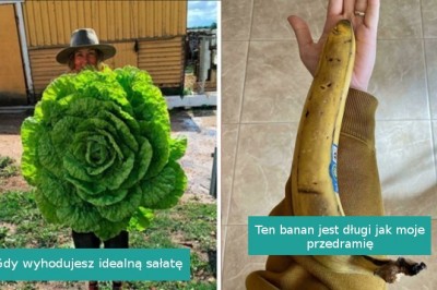 20 osób, którym dopisało szczęście i wygrały los na jedzeniowej loterii 