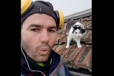 Kiedy kot nie ogarnia co się dzieje, bo zaczynasz gadać w jego języku