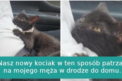 15 zwierzaków, dla których miłość przychodzi naturalnie jak oddychanie