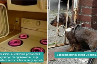 16 mistrzów improwizacji, którzy potrafią znaleźć rozwiązanie każdej sytuacji