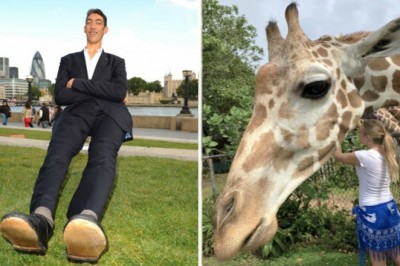 20 zdjęć, które sprawią, że zaczniesz kwestionować rzeczywistość