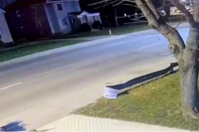 Kiedy chcesz się pozbyć drzewa sprzed domu, ale akurat nie masz piły