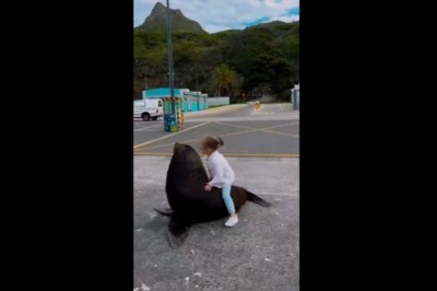 Kiedy sadzasz dziecko na dzikie zwierzę, bo chcesz zrobić fotkę