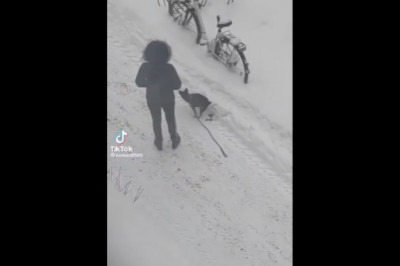 Kiedy nie chce Ci się sprzątać po swoim psie, a akurat jest zima